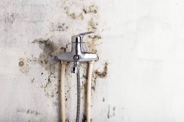Best Water Damage Restoration  in Tainter Lake, WI