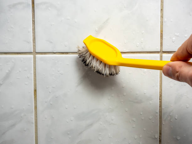 Best Attic Mold Removal  in Tainter Lake, WI