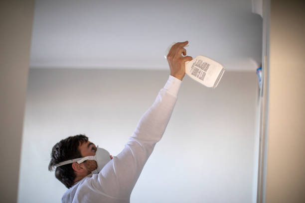 Best Mold Removal and Inspection  in Tainter Lake, WI
