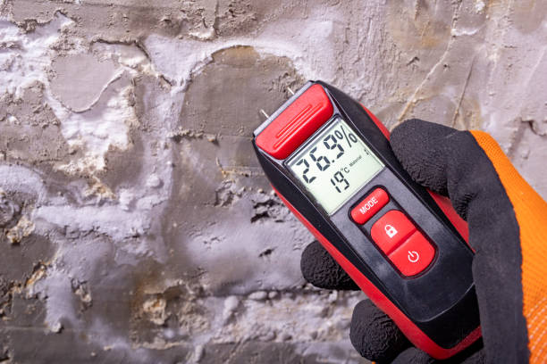 Best Mold Damage Repair  in Tainter Lake, WI