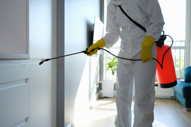 Best Crawl Space Mold Removal  in Tainter Lake, WI
