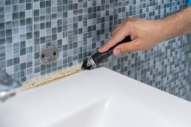 Best Office Mold Removal Services  in Tainter Lake, WI