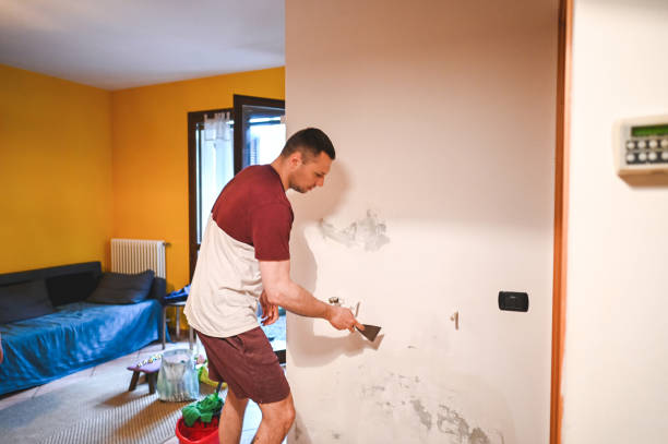 Best Commercial Mold Removal  in Tainter Lake, WI