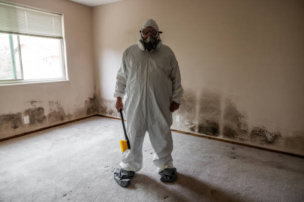 Best Certified Mold Removal  in Tainter Lake, WI
